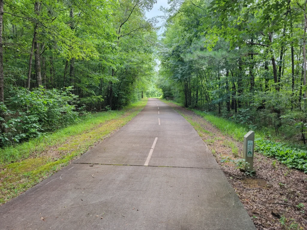 A paved road runs through the vibrant Cedartown community forest, green trees on both sides, with a white center line and a small mile marker on the right.